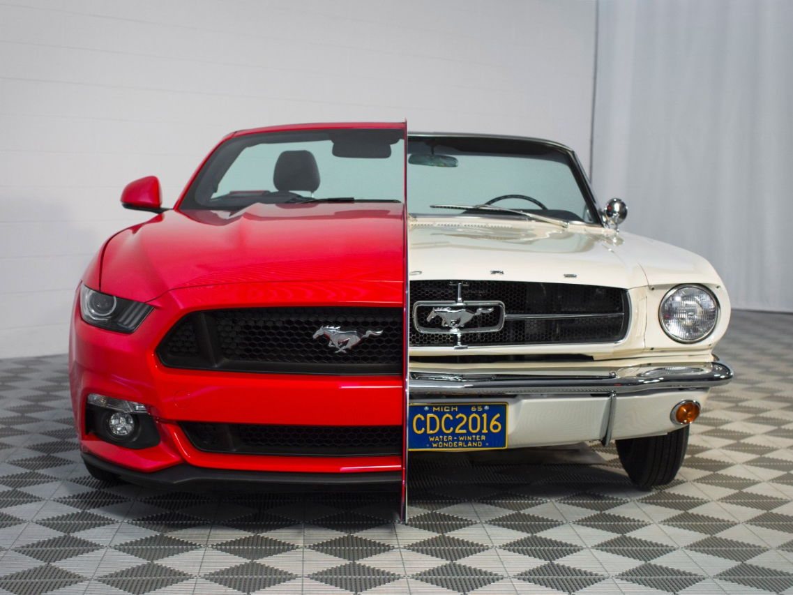 50 Years of Mustang Being Showcased!